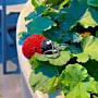 Handmade Crochet Ladybug Keychain in Red and Black Yarn