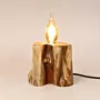 Handmade Natural Trunk Flame Table Lamp – Trunk Flame Design