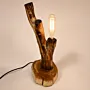 Handmade Raw Branch Table Lamp – Forest Essence Design with Warm Light
