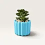 Fluted Concrete Planter or Pencil Holder with Optional Plant (Available In Colors)