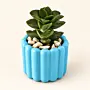 Fluted Concrete Planter or Pencil Holder with Optional Plant (Available In Colors)