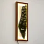 Illuminated Solid Oak Palestine Map Wall Art