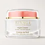 Rivage Night Cream with Jojoba & Dead Sea Minerals – 50ml – Dry Skin