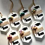  Shapes & Scents - Cap & Year Tag