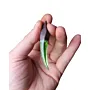 Green Glow Lion Fang Epoxy Artisan Handmade Pendant Necklace