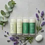 Eucalyptus Mint Deodorant for aluminum-free mint freshness