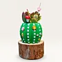 Handmade Green Floral Cactus Gypsum Planter 10–15 cm