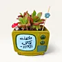 Handmade Olive TV with Favorite Novel Quote Gypsum Planter 10–15 cm