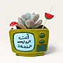 Handmade Olive TV with Favorite Novel Quote Gypsum Planter 10–15 cm