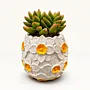 Handmade White Daisy Relief Gypsum Planter 10–15 cm