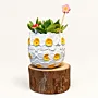 Handmade White Daisy Relief Gypsum Planter 10–15 cm