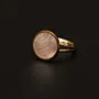 Hand-Carved Mother-of-Pearl and Copper Ring Free Size