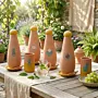 Alkaline Terra Yellow Clay VIP Set Blue Calligraphy 950ml