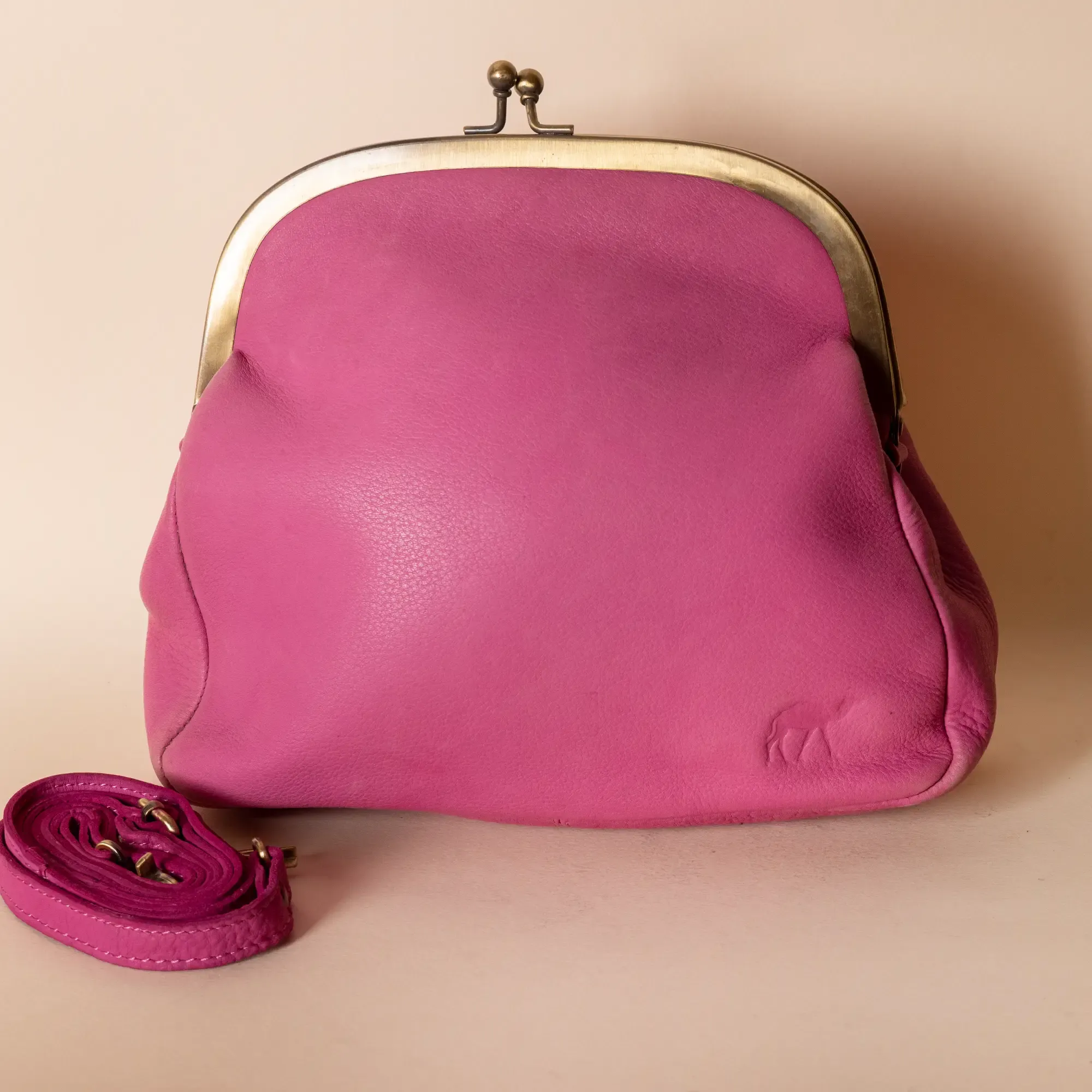 Vintage Leather Frame Crossbody – Pink Metal Frame – 20x20x7 cm