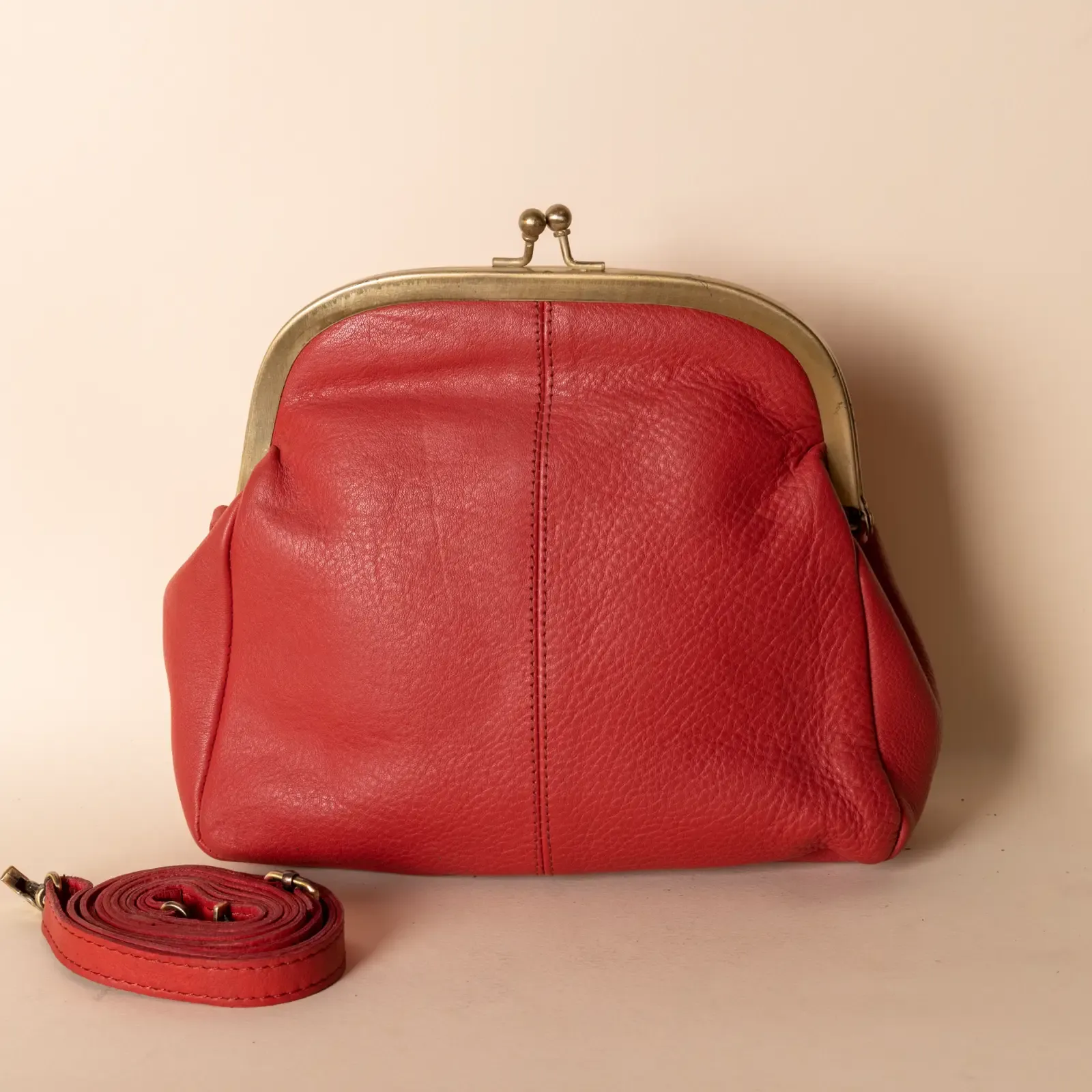Vintage Leather Frame Crossbody – Red Metal Frame – 20x20x7 cm