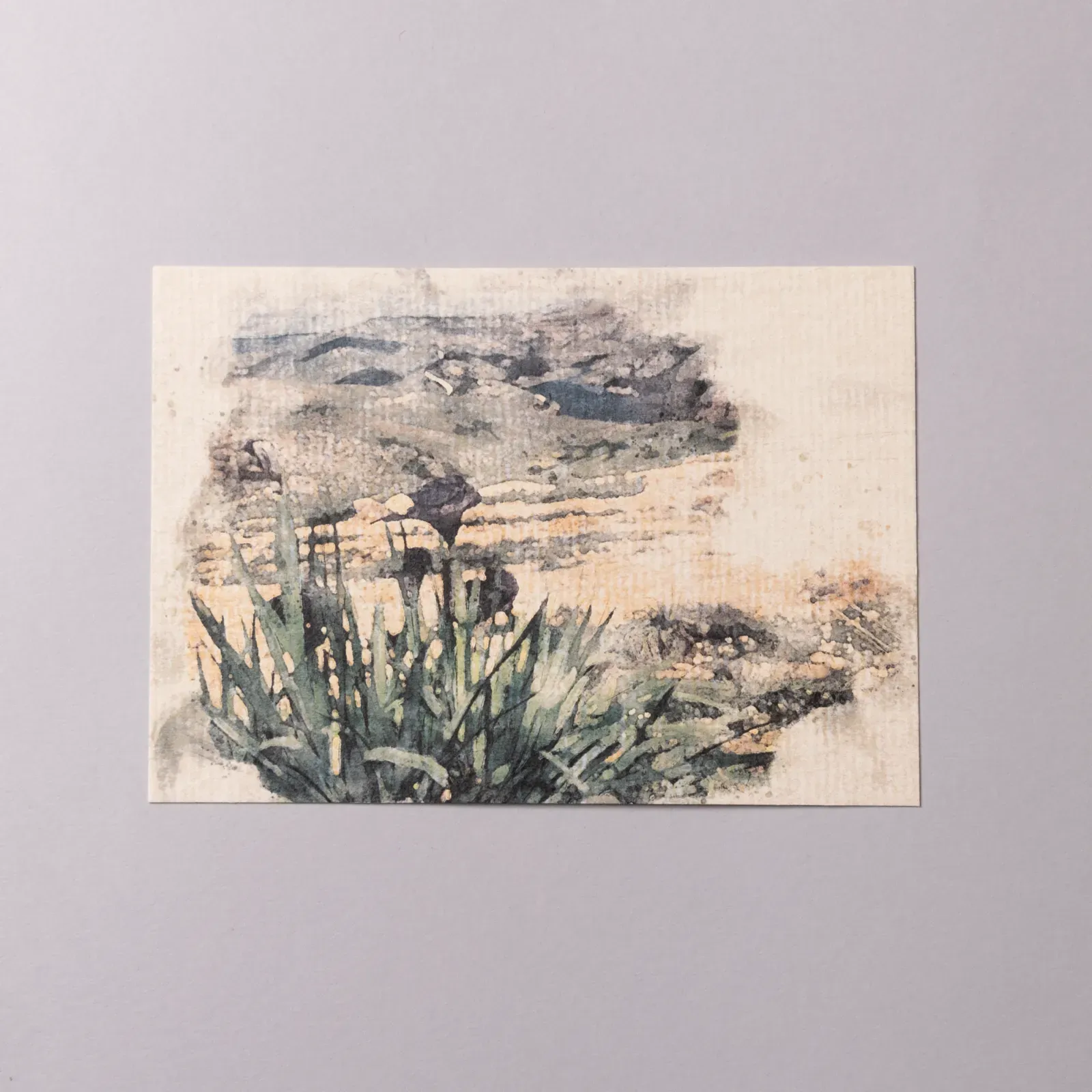 Iris Topography Jordan Postcard & Poster Print 15x11/21x30 cm