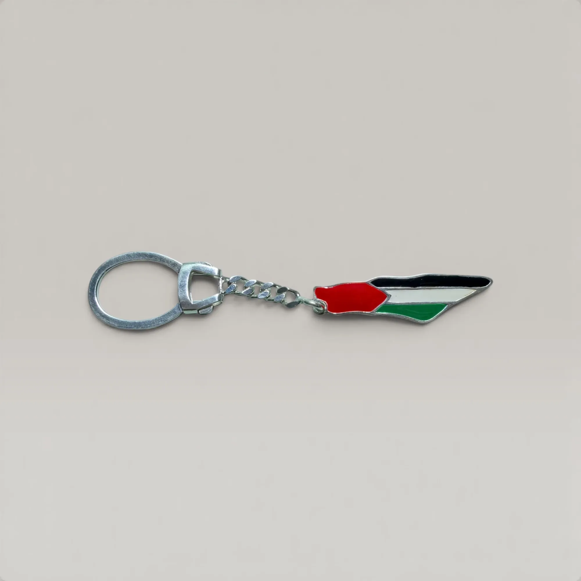Palestine Map Medal Pendant Necklace in 925 Sterling Silver