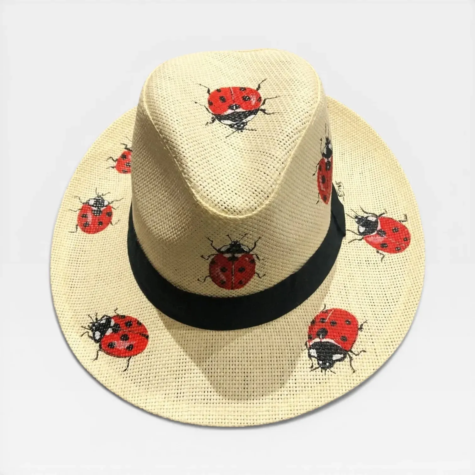 Personalized Ladybug Boho Straw Hat with Summer Hand Art