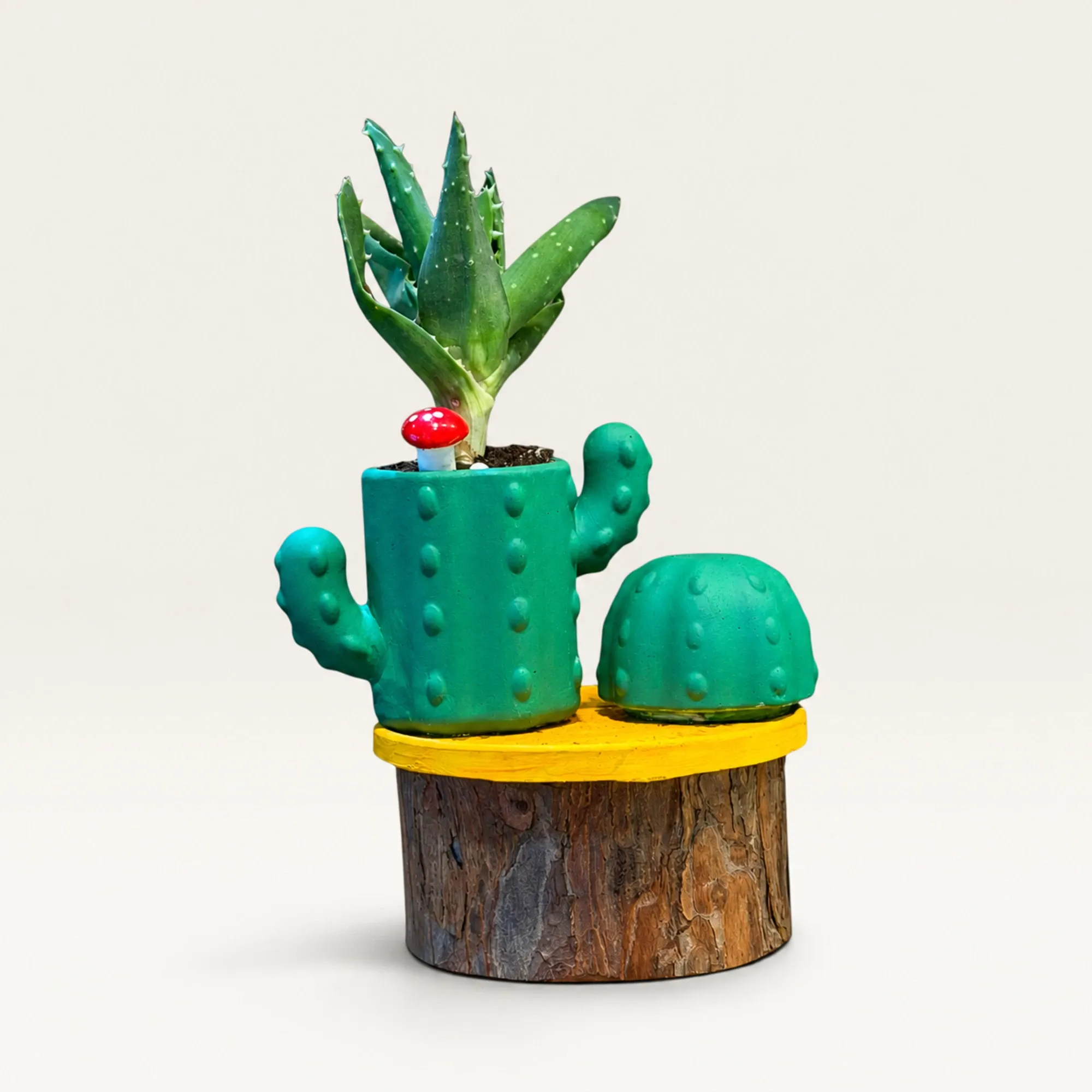 Handmade Double Green Cactus Gypsum Planter 10–15 cm