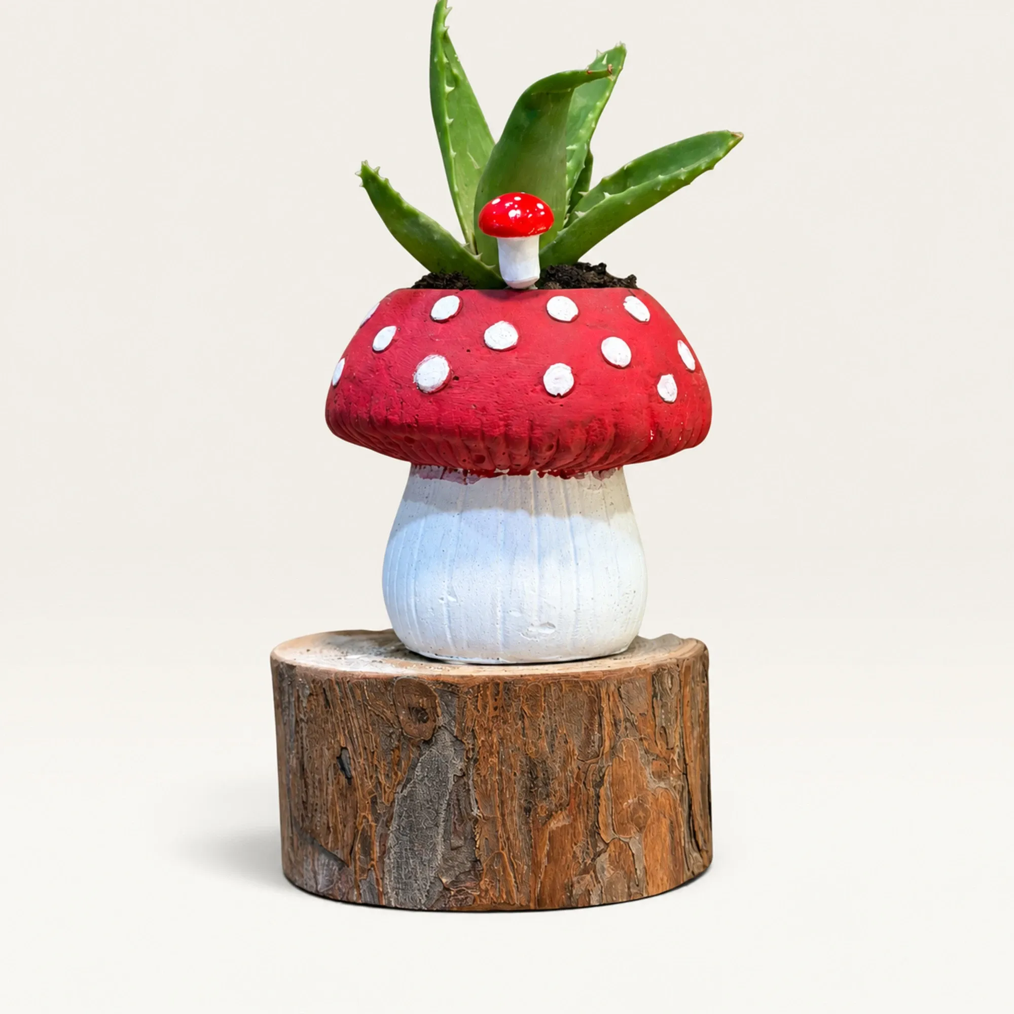 Handmade Red Mushroom Gypsum Succulent Planter 10–15 cm