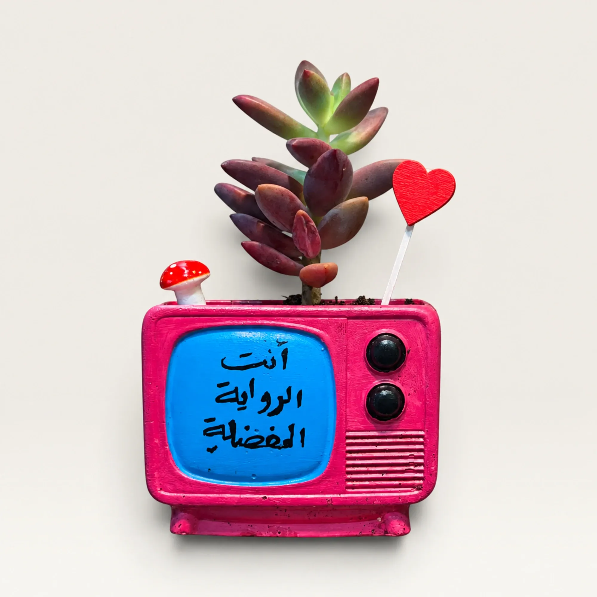 Handmade Magenta TV with Favorite Novel Quote Gypsum Planter 10–15 cm