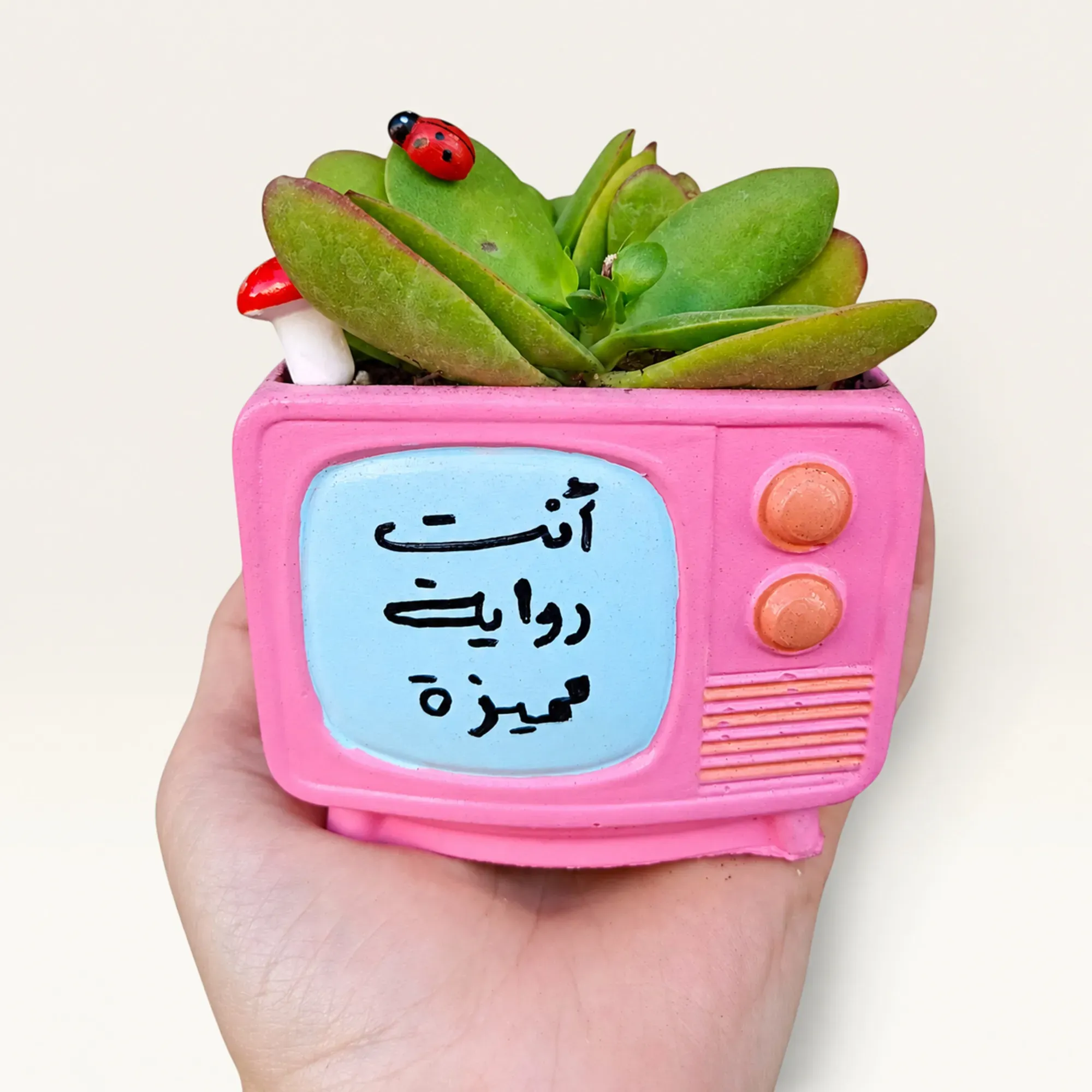 Handmade Pink TV with Unique Novel Quote Gypsum Planter 10–15 cm