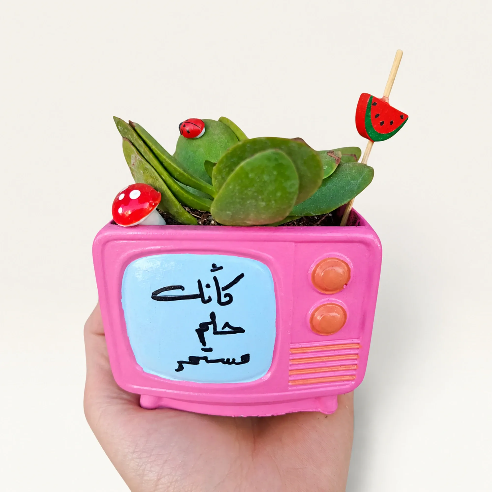 Handmade Olive TV with Patience Quote Gypsum Planter 10–15 cm