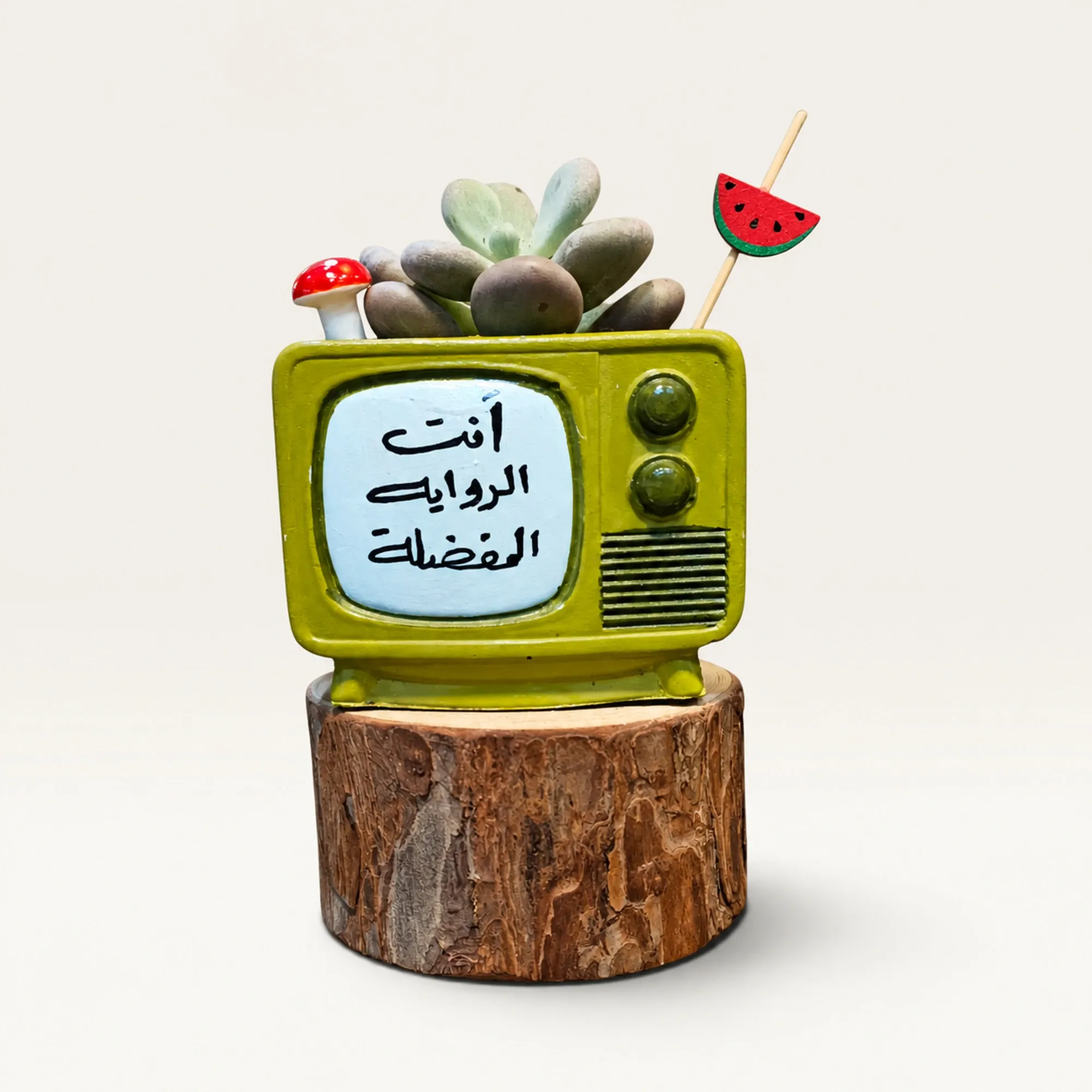 Handmade Pink TV with Continuing Dream Quote Gypsum Planter 10–15 cm