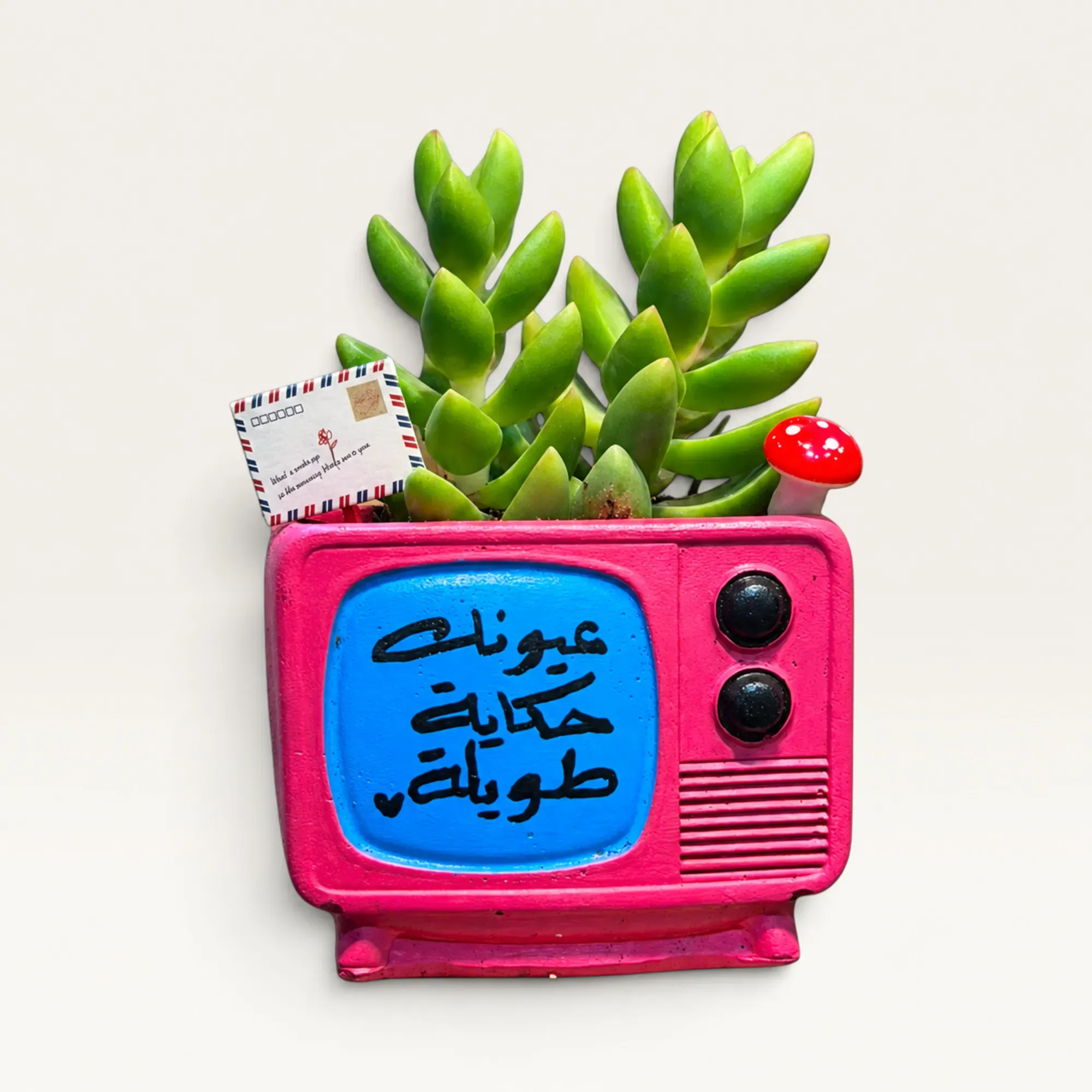 Handmade Magenta TV with Long Story Eyes Quote Gypsum Planter 10–15 cm