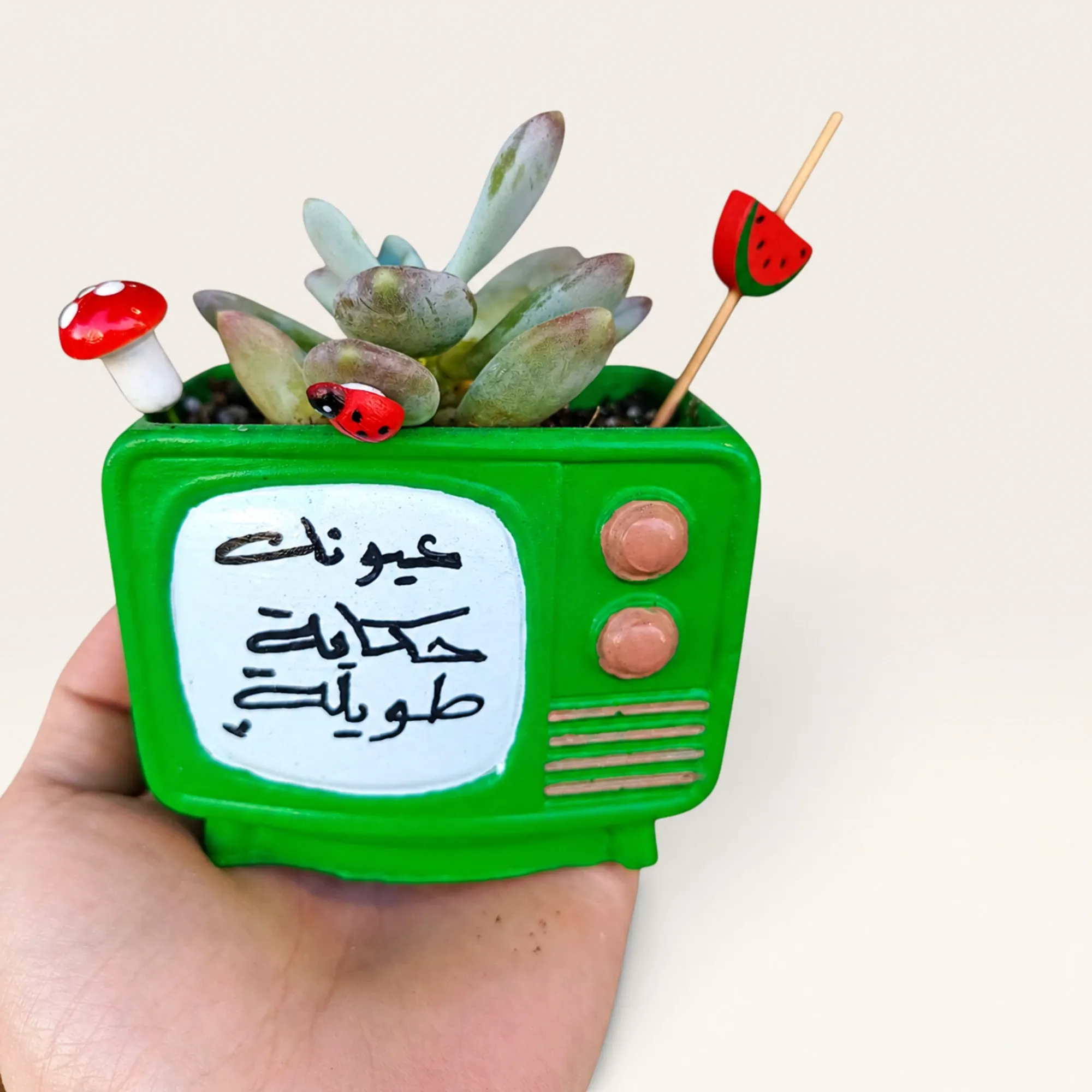 Handmade Green TV with Long Story Eyes Quote Gypsum Planter 10–15 cm