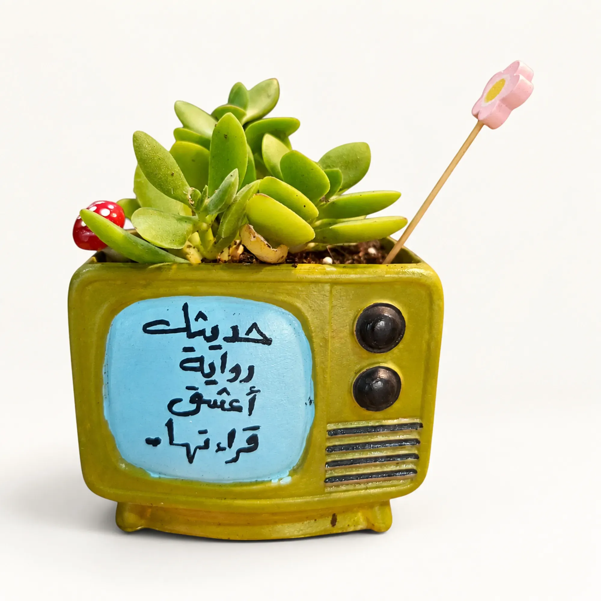 Handmade Olive TV with Conversation Quote Gypsum Planter 10–15 cm