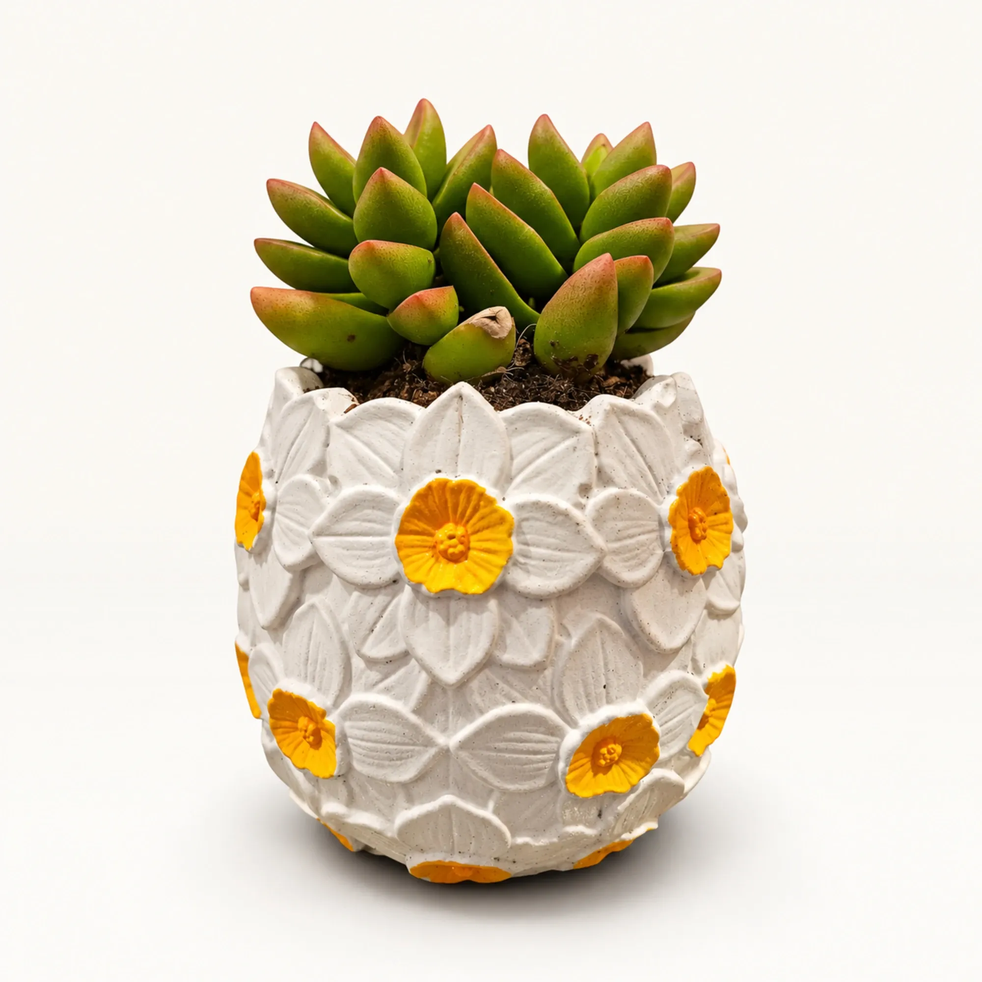 Handmade White Daisy Relief Gypsum Planter 10–15 cm