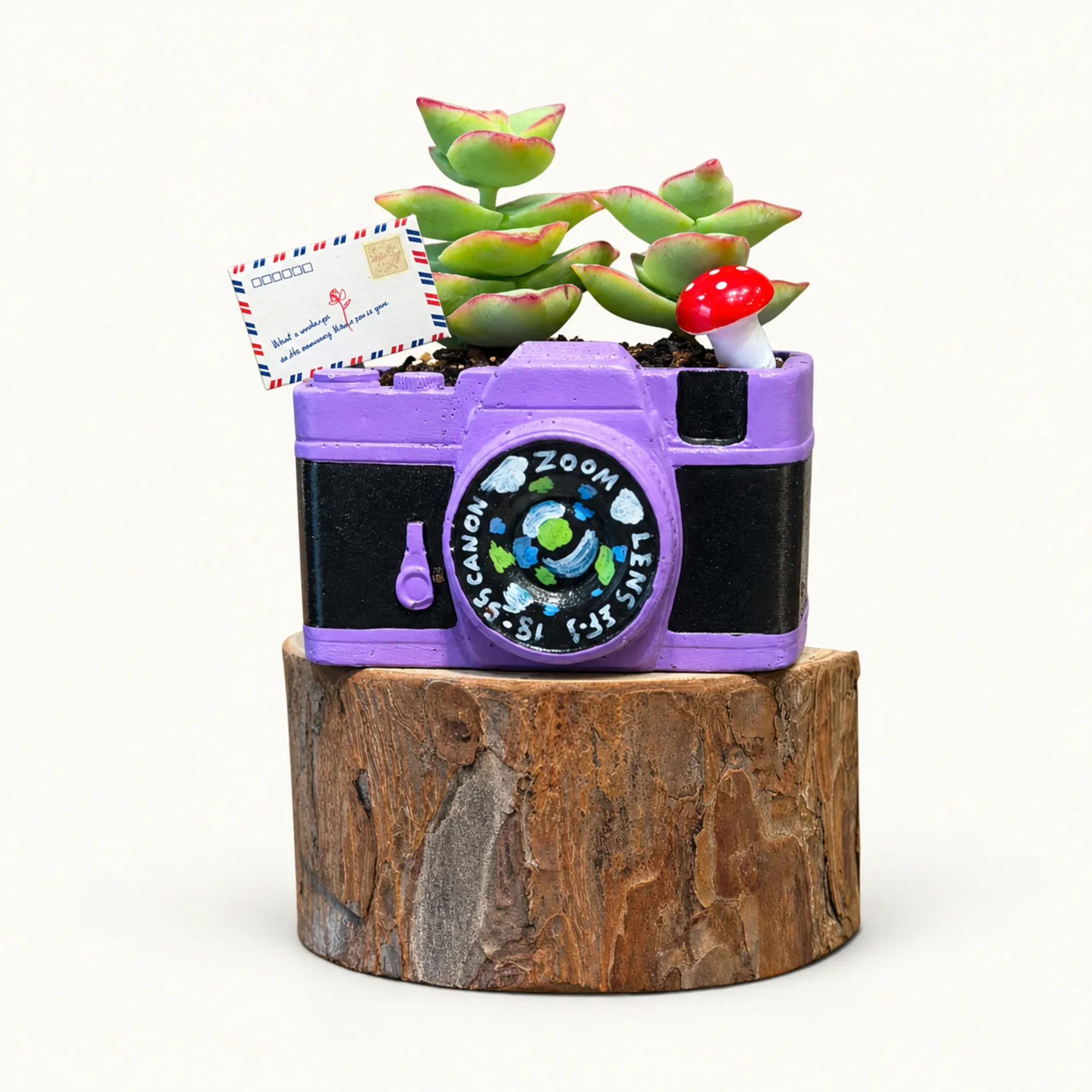 Handmade Purple Vintage Camera Gypsum Planter 10–15 cm