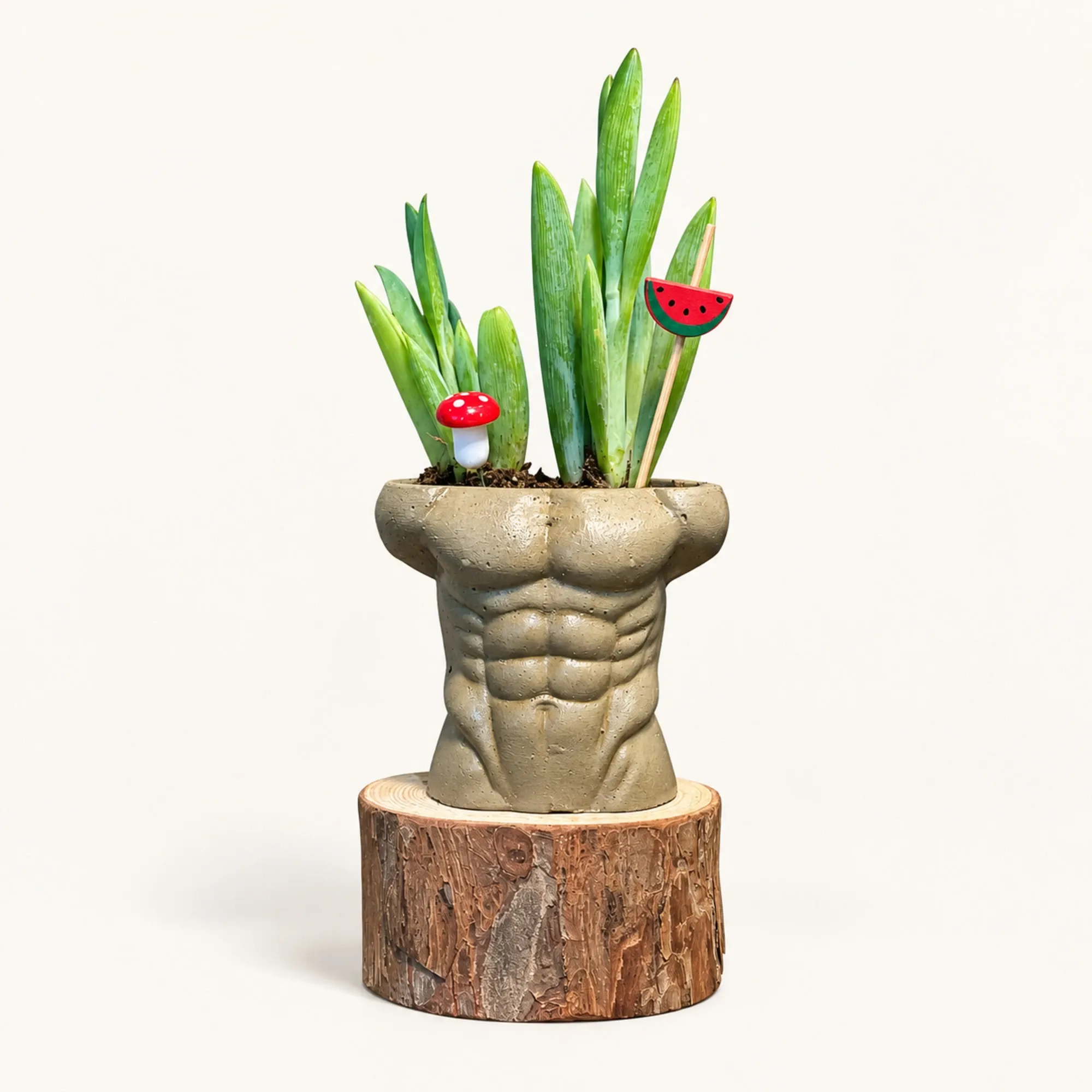 Handmade Bronze Male Torso Gypsum Planter 10–15 cm
