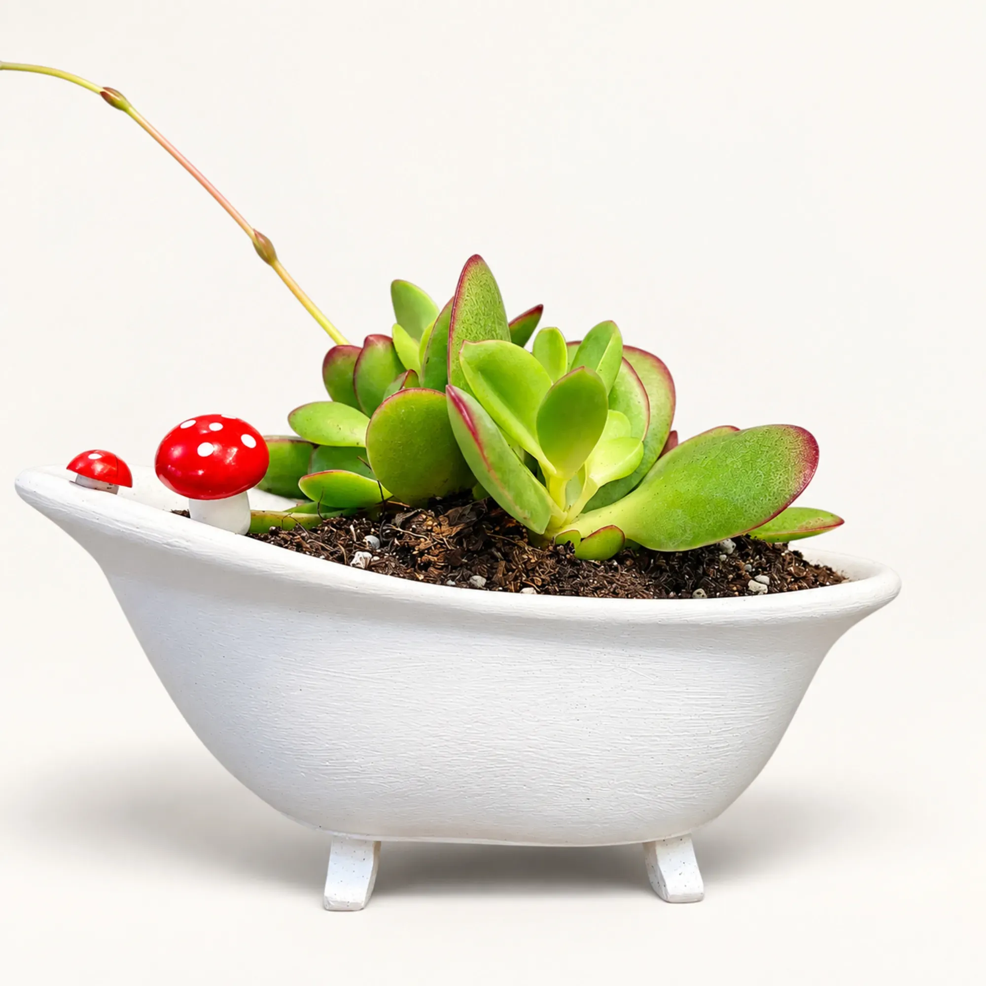 Handmade White Claw-Foot Bathtub Gypsum Planter 10–15 cm