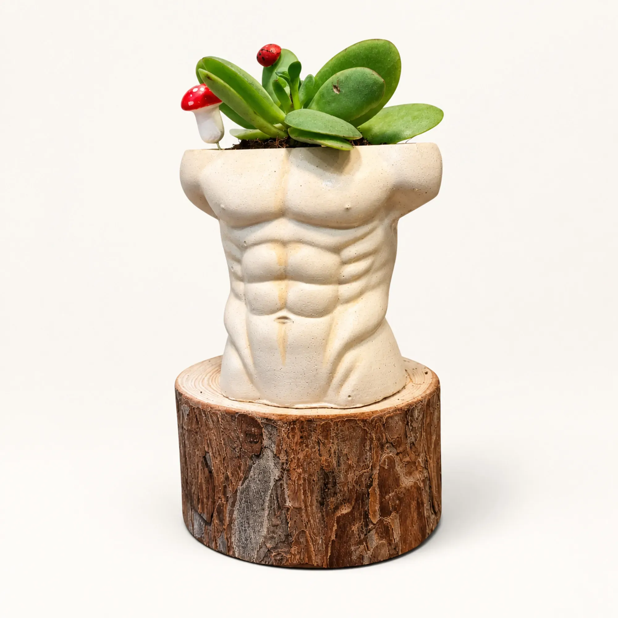 Handmade Ivory Male Torso Gypsum Planter 10–15 cm