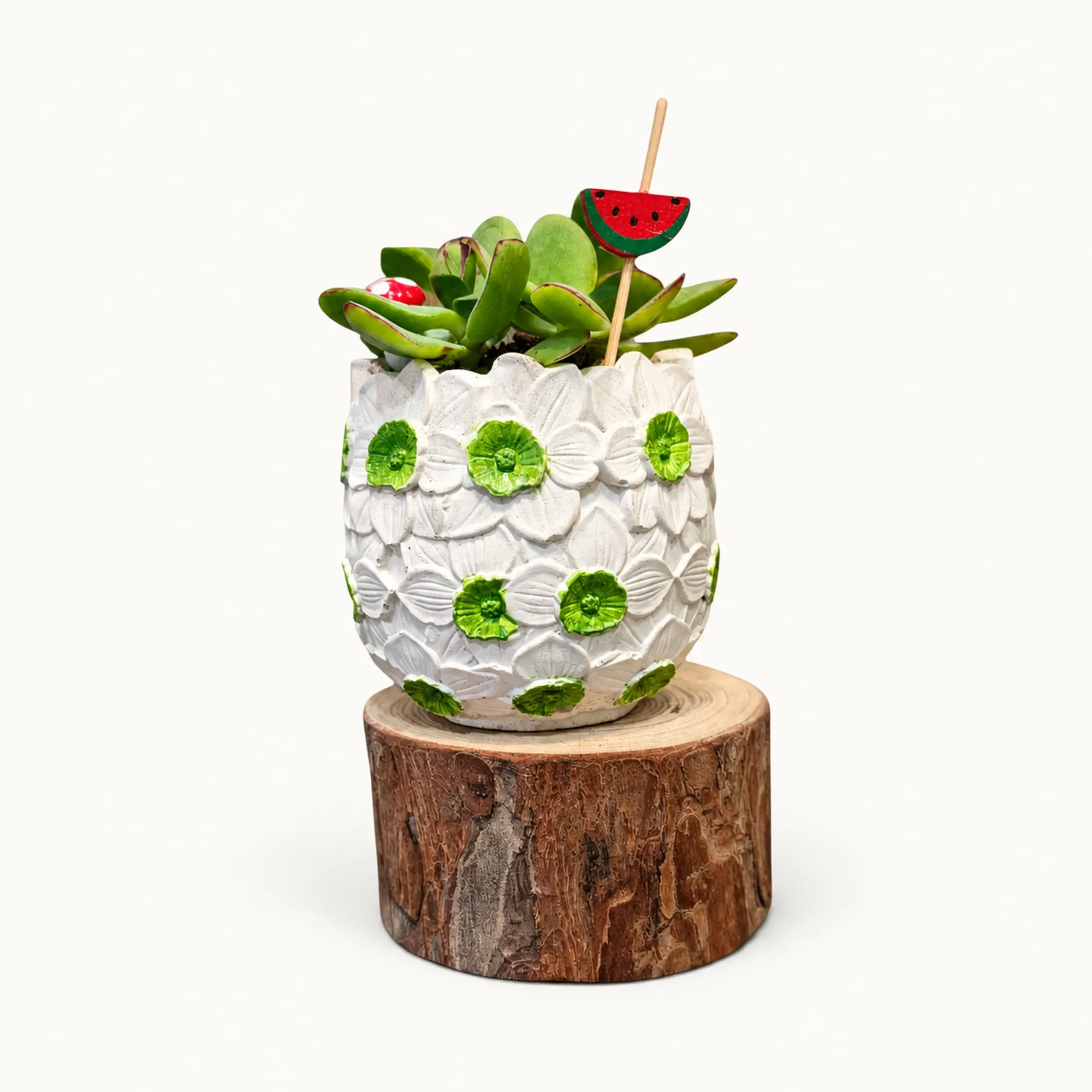 Handmade White and Green Daisy Relief Gypsum Planter 10–15 cm