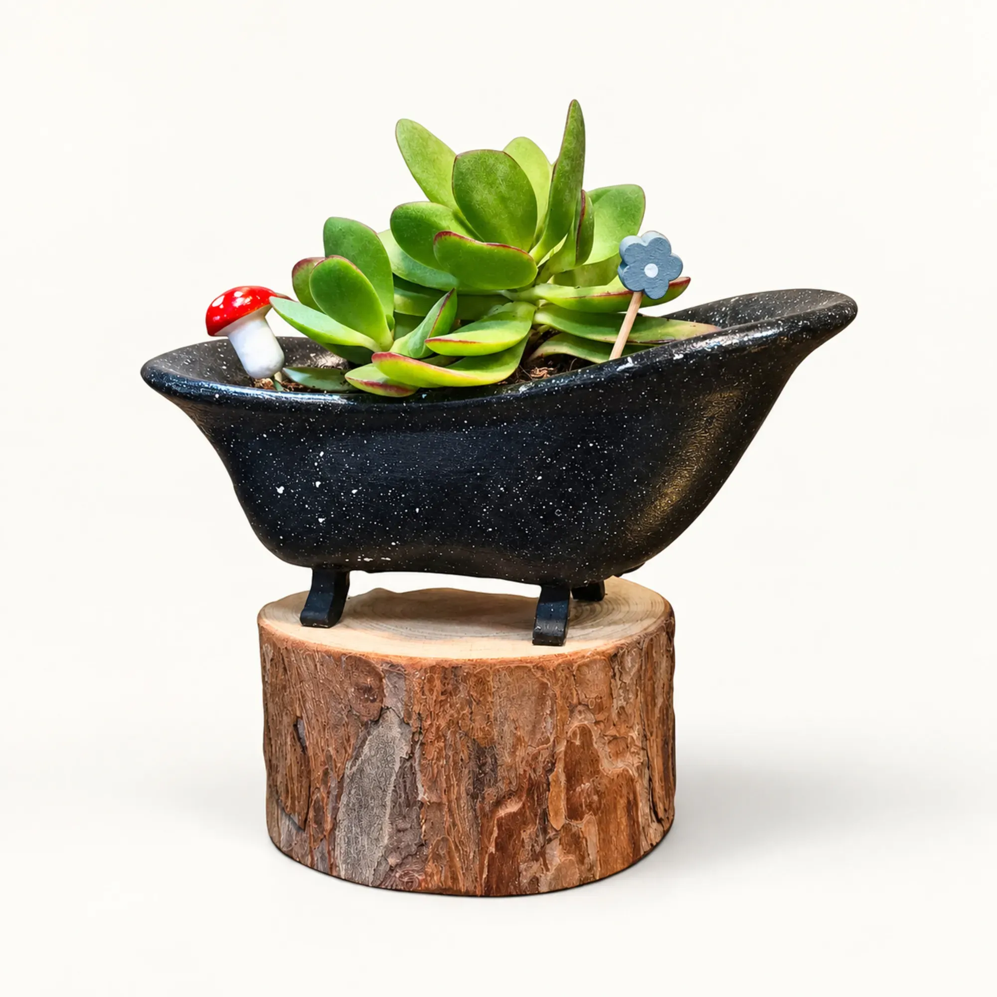 Handmade Black Claw-Foot Bathtub Gypsum Planter 10–15 cm