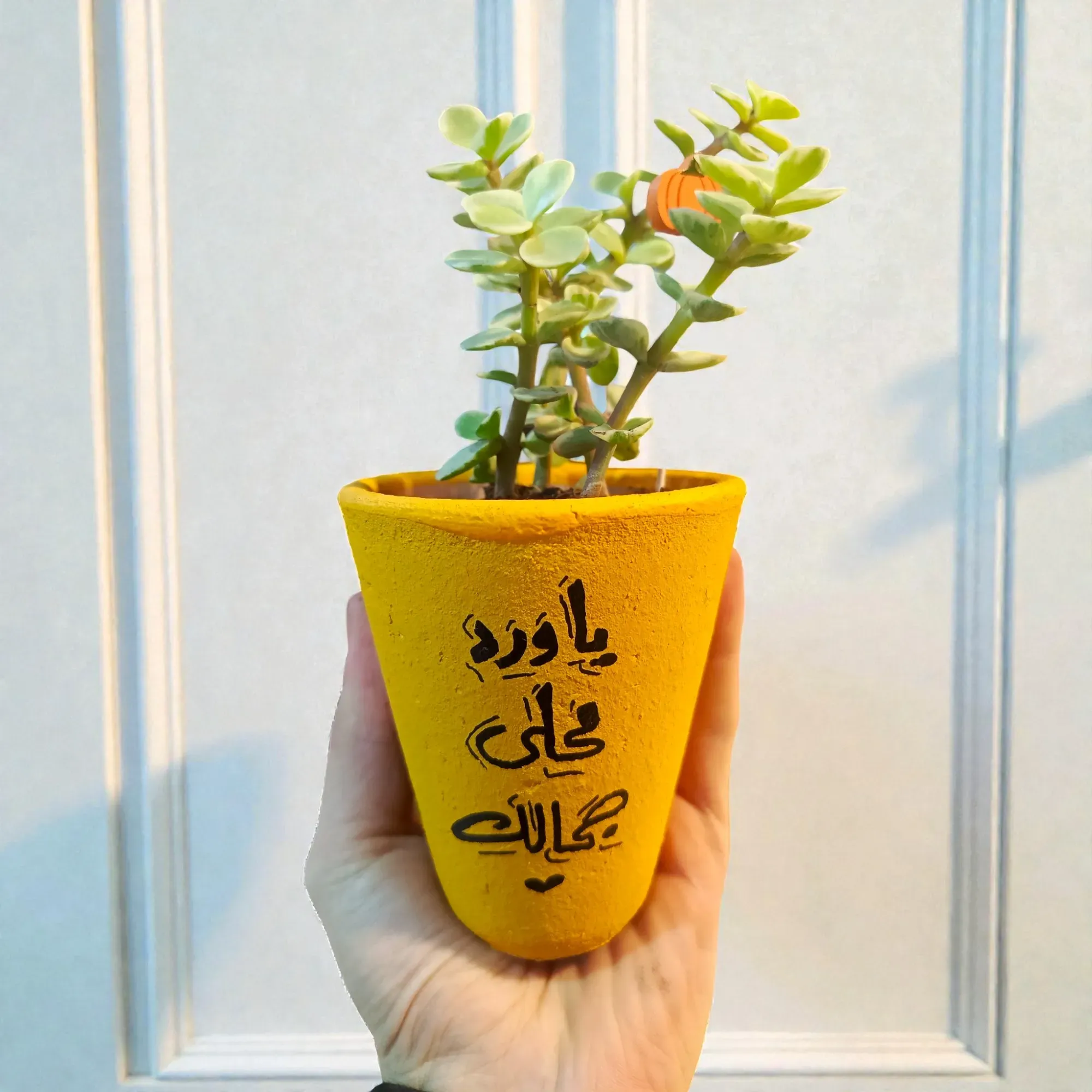 Hand-Painted Yellow Clay Mini Planter with Cactus Seeds 15x5 cm