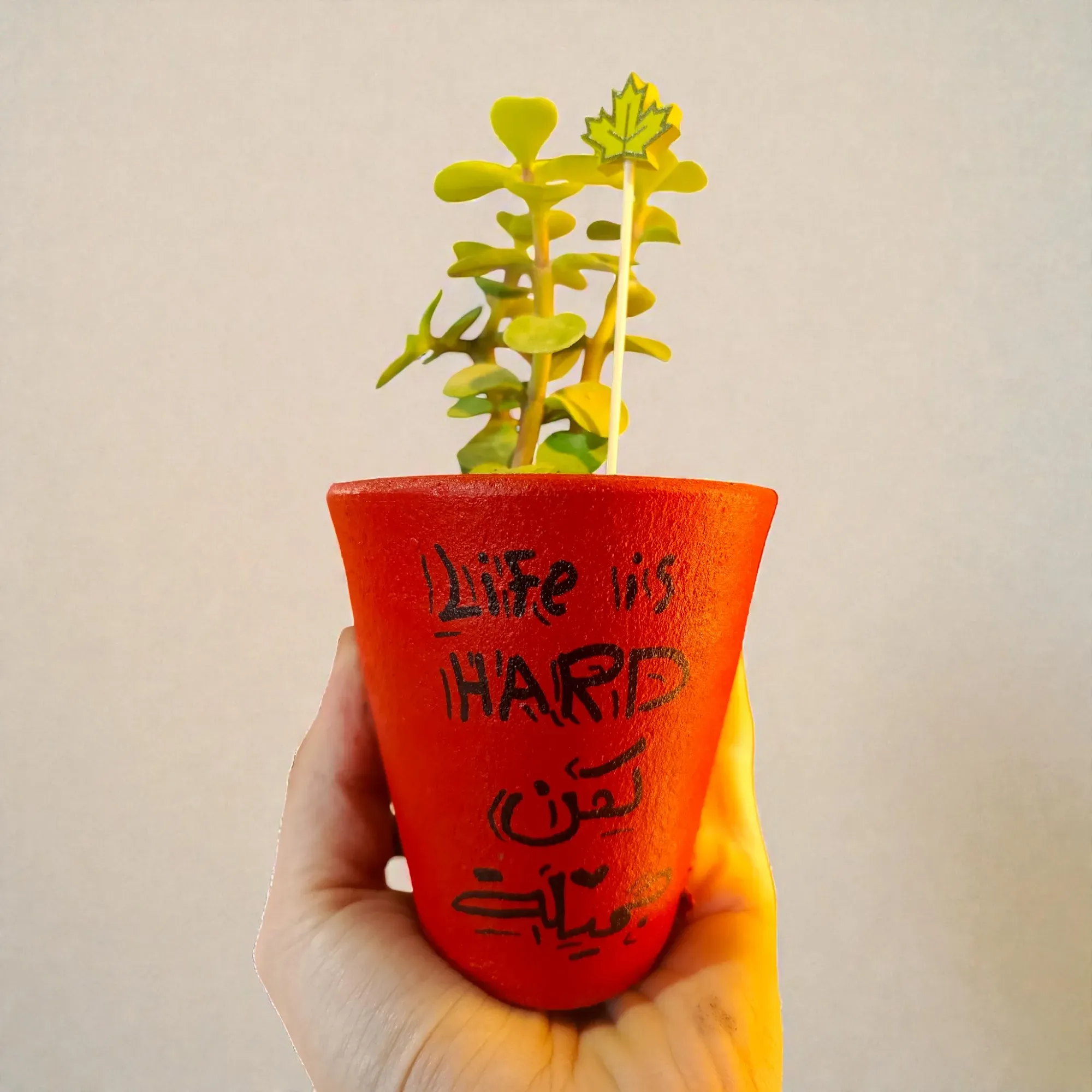 Hand-Painted Orange Clay Mini Planter with Cactus Seeds 15x5 cm