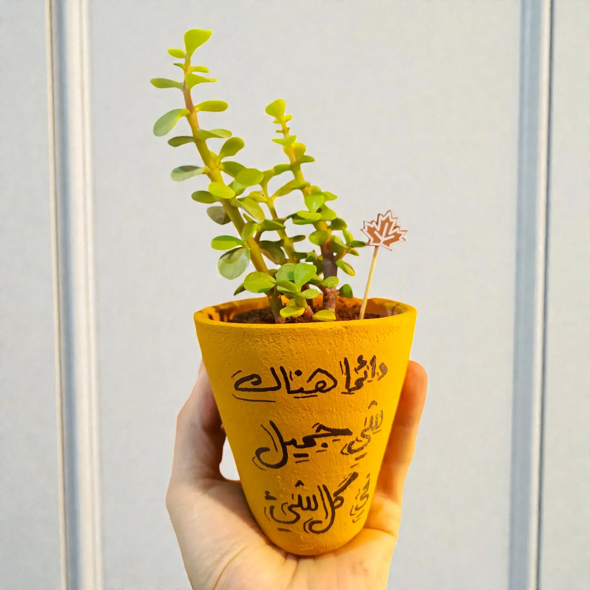 Hand-Painted Mustard Yellow Clay Mini Planter with Cactus Seeds 15x5 cm
