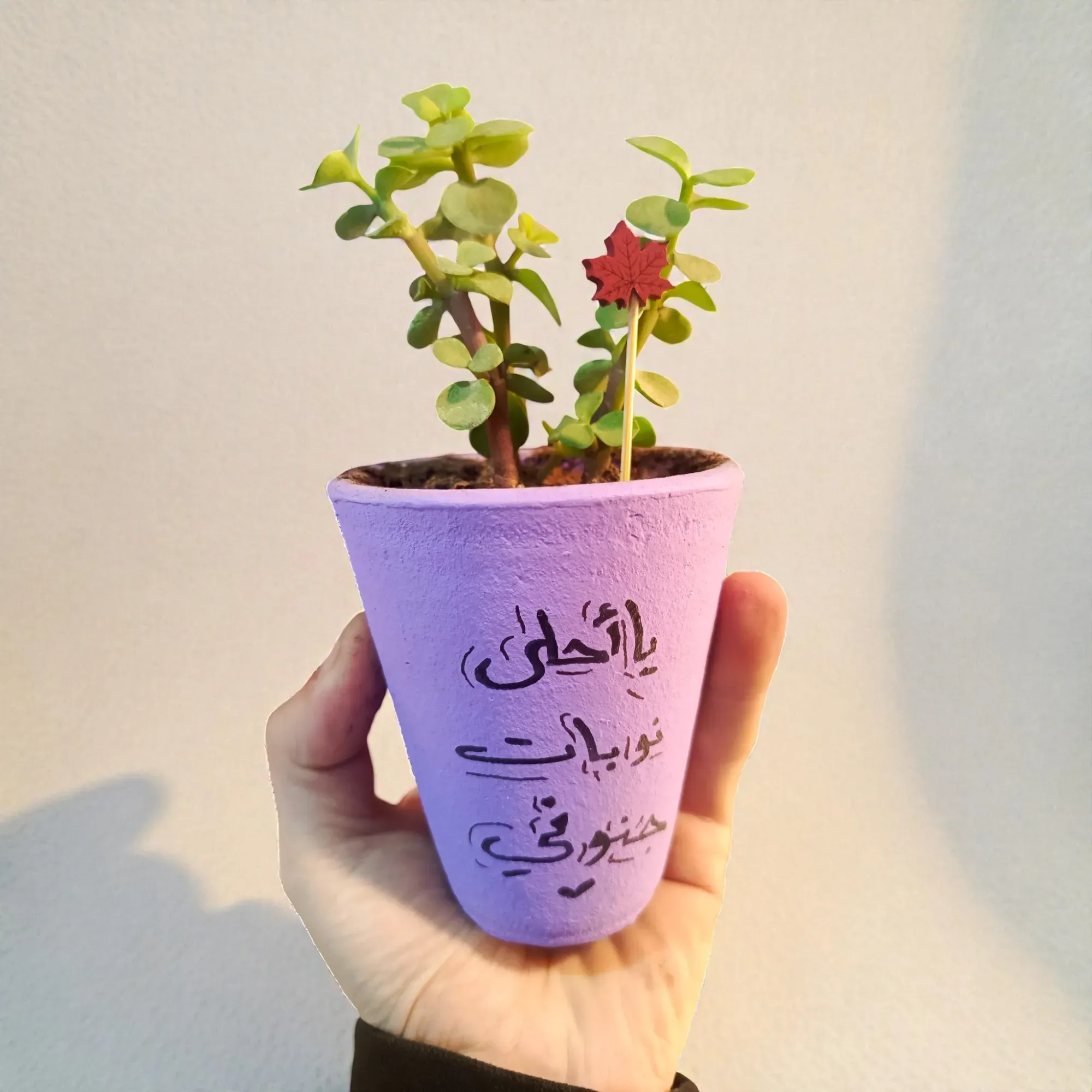 Hand-Painted Pink Clay Mini Planter with Cactus Seeds 15x5 cm