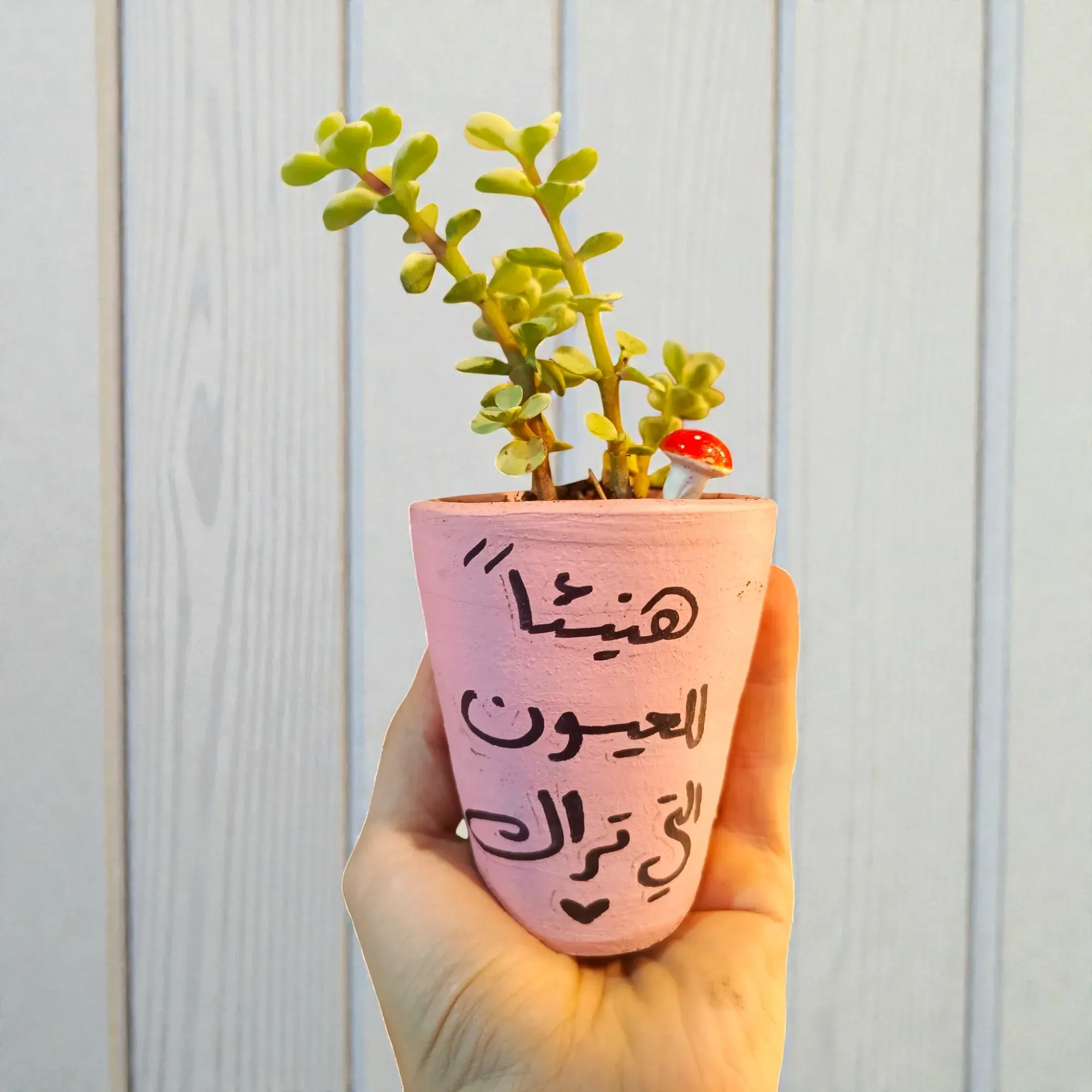 Hand-Painted Golden Yellow Clay Mini Planter with Cactus Seeds 15x5 cm