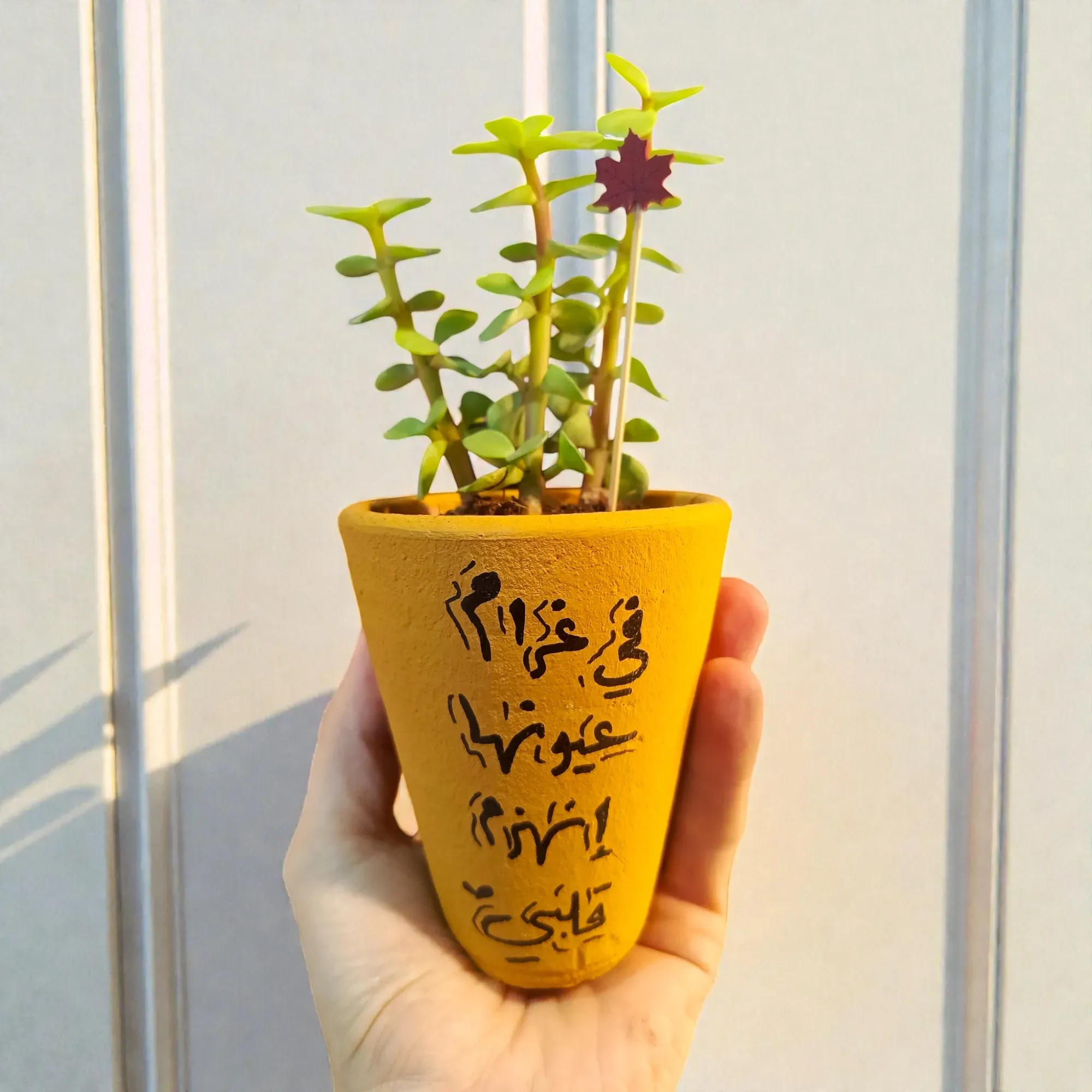 Hand-Painted Warm Yellow Clay Mini Planter with Cactus Seeds 15x5 cm