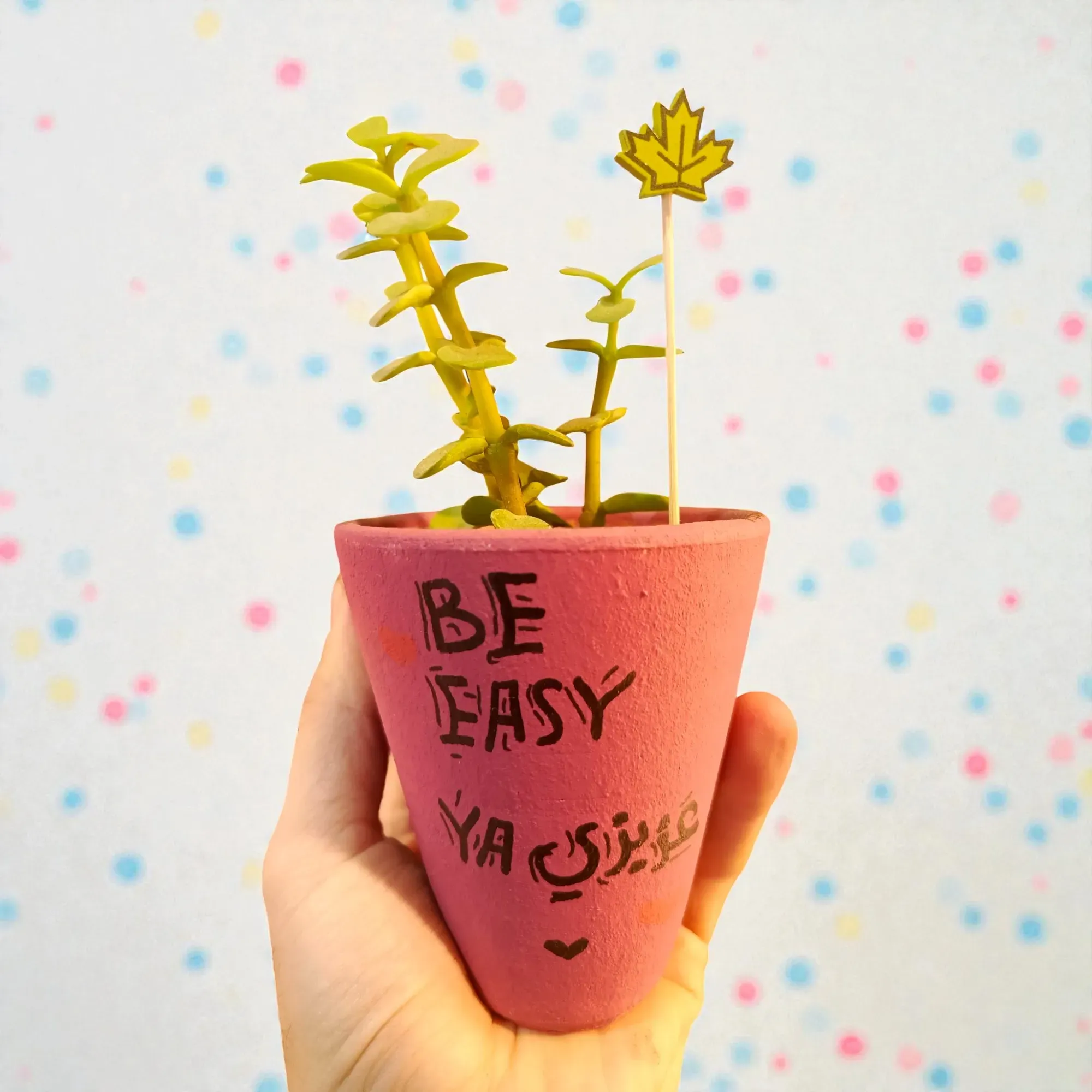 Hand-Painted Coral Pink Clay Mini Planter with Cactus Seeds 15x5 cm