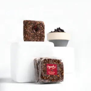 Dark Chocolate Granola Bites with Cranberries – 25 g