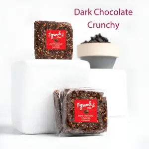 Crunchy Dark Chocolate Granola Bites with Dates – 25 g