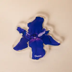 Black Iris Jordan National Flower Acrylic Coaster – 9 x 9 cm