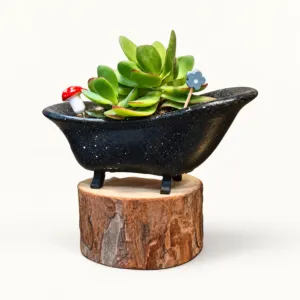Handmade Black Claw-Foot Bathtub Gypsum Planter 10–15 cm