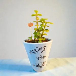 Hand-Painted White And Blue Clay Mini Planter with Cactus Seeds 15x5 cm